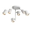 Светильник потолочный ST Luce Fanale SL597.502.06
