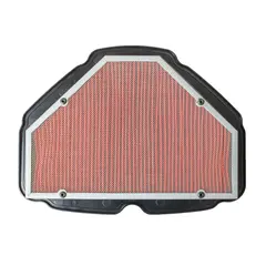 Воздушный фильтр Emgo 12-90060 (HFA1936) для Honda GL1800 Gold Wing 2018-