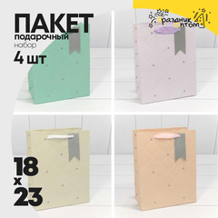 
          Пакет подарочный 18х23х10см Премиум "Эксклюзив" (Микс)