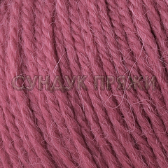 Baby Alpaca 46026