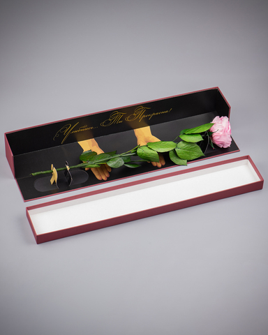 Роза Премиум в подарочной коробке(бордо) комплимент .Бутон розовый.