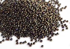 RR-0458 Metallic Brown Iris