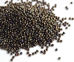 RR-0458 Metallic Brown Iris