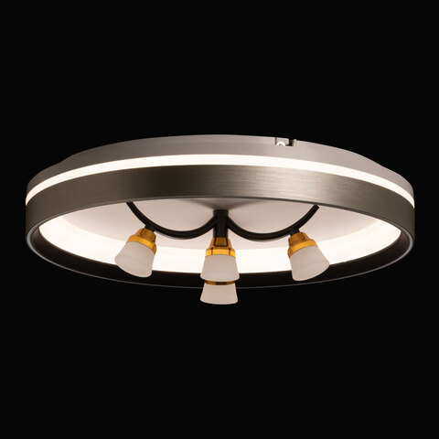 Потолочный светодиодный светильник De City Норден 660014901