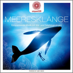 Davy Jones / Meeresklange (Entspannende Musik Mit Wal - Und Delphingesangen)(CD)