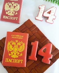 Трафарет паспорт №1