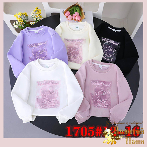 Свитшот хлопок д (7-12) 250824-G6151