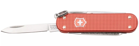 Нож-брелок Victorinox Classic SD Alox LE 2025 Stone Red (0.6221.L25)