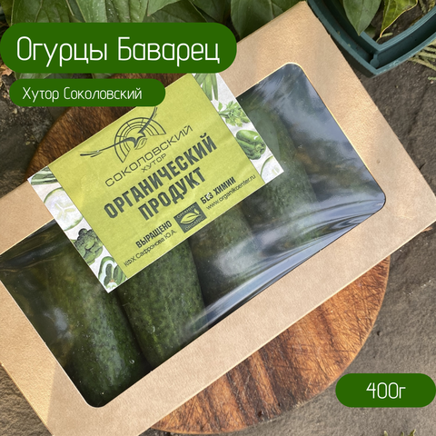 Огурцы Органические Баварец в упаковке 0,4 кг
