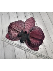 Молды пластиковые Д-23 набор лепестки орхидеи