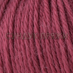 Baby Alpaca 46027
