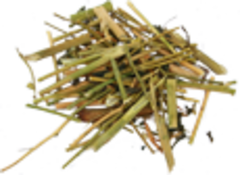 Сурепка трава (трава)