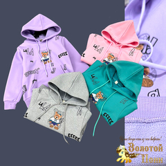 Толстовка утепленная д (4-8) 240830-TM2393