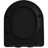 Aquatek AQ0204-MB AQ0204-MB крышка-сиденье для унитаза AQ2004, черная