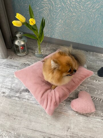 8209 MD Коврик-подстилка (чехол съемный) PREMIUM пыльно-розовый, мягкий МЕХ "Furry Heart Sleep Place" (S)