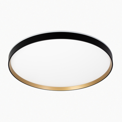 Потолочный светодиодный светильник Citilux Etalon CL750501R