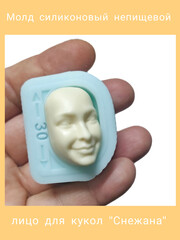 1256-С Молд силиконовый непищевой 