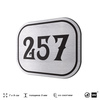Номерок на дверь квартиры 257, для кабинета, офиса, шильдик 9 х 7 см, серебристый, Айдентика Технолоджи