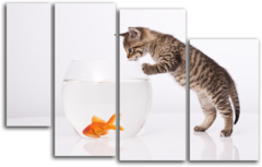 Модульная картина "Кот и золотая рыбка"