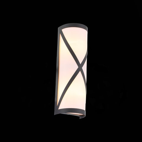 Светильник уличный ST Luce Agio SL076.411.01