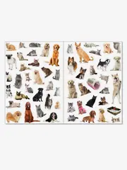 Многоразовые наклейки 