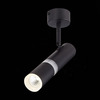 Светильник потолочный ST Luce ST106.442.08