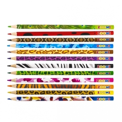 Карандаши цветные Zoomi 12 цв., "ZOO. Джунгли" деревянные, шестигранные, заточенные, дизайн на корпусе, грифель 3.0 мм, картон. уп., европодвес