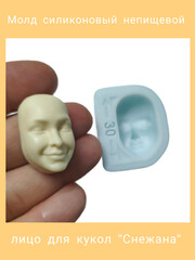 1256-С Молд силиконовый непищевой 