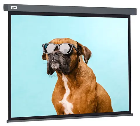 Экран Cactus 120" 149.4x265.7см Wallscreen CS-PSW-149X265-SG 16:9 настенно-потолочный рулонный серый