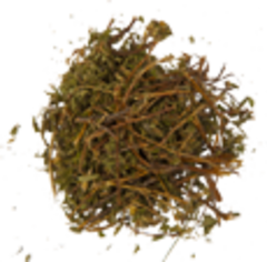 Курильский чай (побег, 50гр.)  (Старослав)