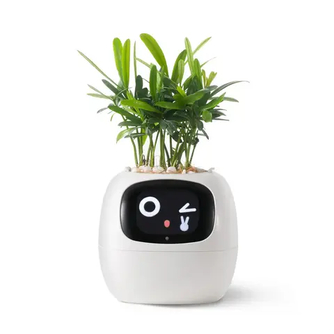 Кашпо с автополивом Ivy Smart Planter