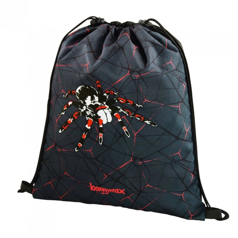 Ранец Step By Step BaggyMax Trikky Dark Spider 3 предмета