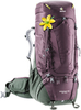 Картинка рюкзак туристический Deuter Aircontact Pro 65+15 SL Aubergine/Ivy - 1