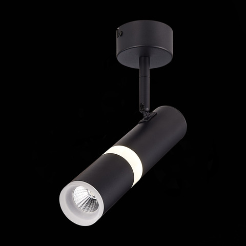 Светильник потолочный ST Luce ST106.442.08