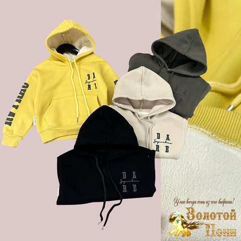 Толстовка утепленная м (3-7) 240830-TM2390