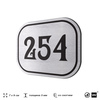 Номерок на дверь квартиры 254, для кабинета, офиса, шильдик 9 х 7 см, серебристый, Айдентика Технолоджи