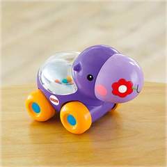 Mattel Fisher Price Зверюшка с прыгающими шариками (в ассортименте) (BGX29)