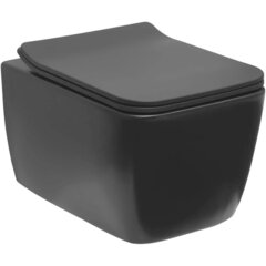 Allen Brau 4.33007.AN 4.33007.AN LIBERTY 2 Унитаз подвесной rimless без сиденья 518х370 мм антрацит (312474) фото