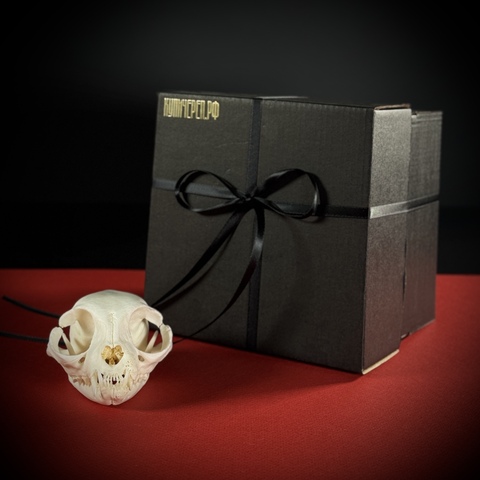 Череп кота в подарочной коробке