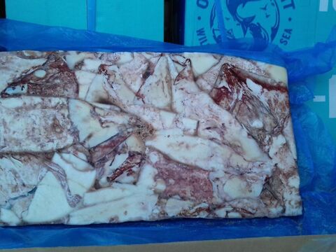 Кальмар неочищенный, блок 7,5кг