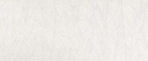 Atlas Concorde Aplomb White Leaf 50x120