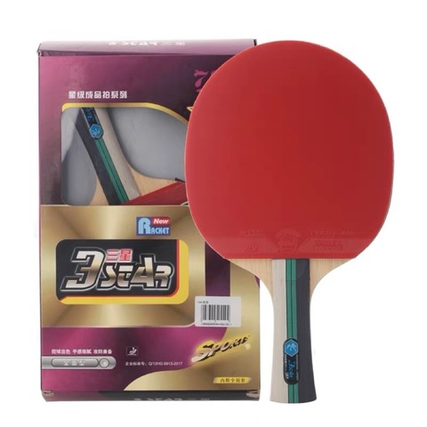 Ракетка для настольного тенниса 729 с чехлом (3 STAR Premium)