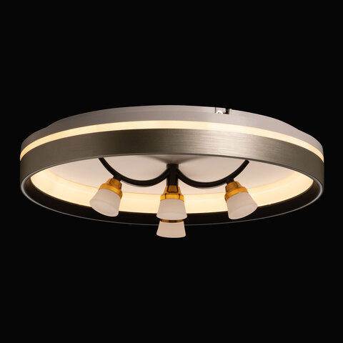 Потолочный светодиодный светильник De City Норден 660014901