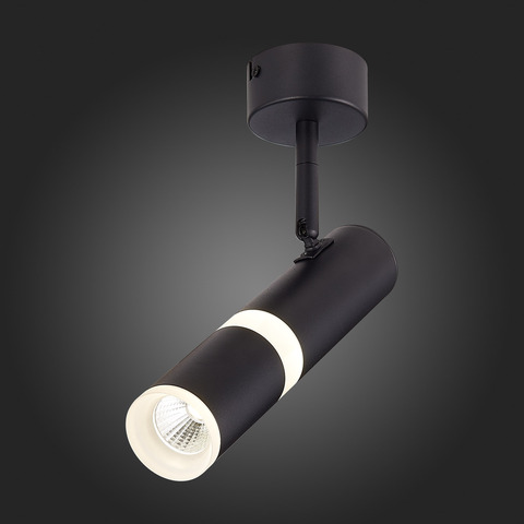 Светильник потолочный ST Luce ST106.442.08