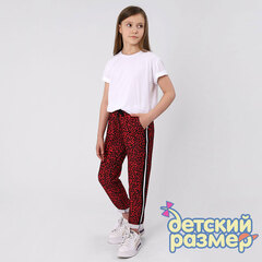 Брюки