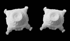 Силиконовый молд № 2096 Ножка