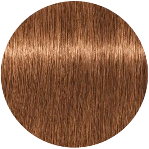 Schwarzkopf Igora Absolutes 7-450 (Средний русый бежевый шоколадный) - Стойкая крем-краска для окрашивания зрелых волос