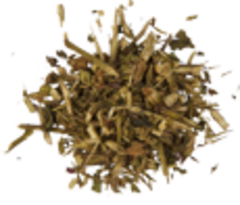 Эхинацея (трава)