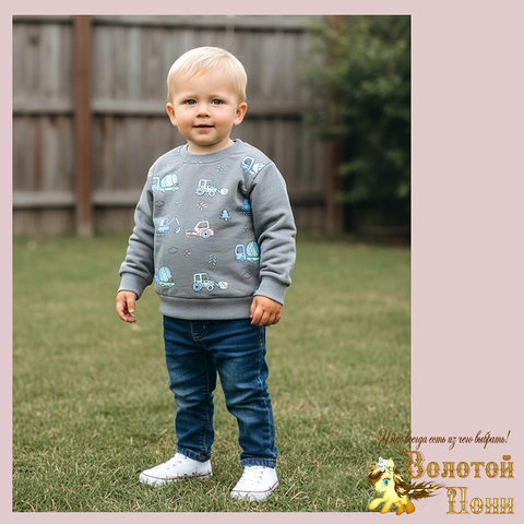 Свитшот трикотаж м (74-98) 251205-Y5109