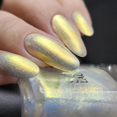 I Had All The Answers (LE)